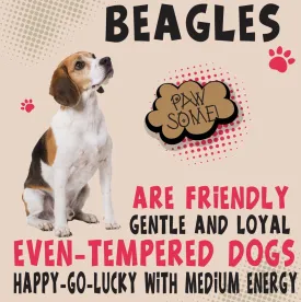 Beagle Metal Wall Sign