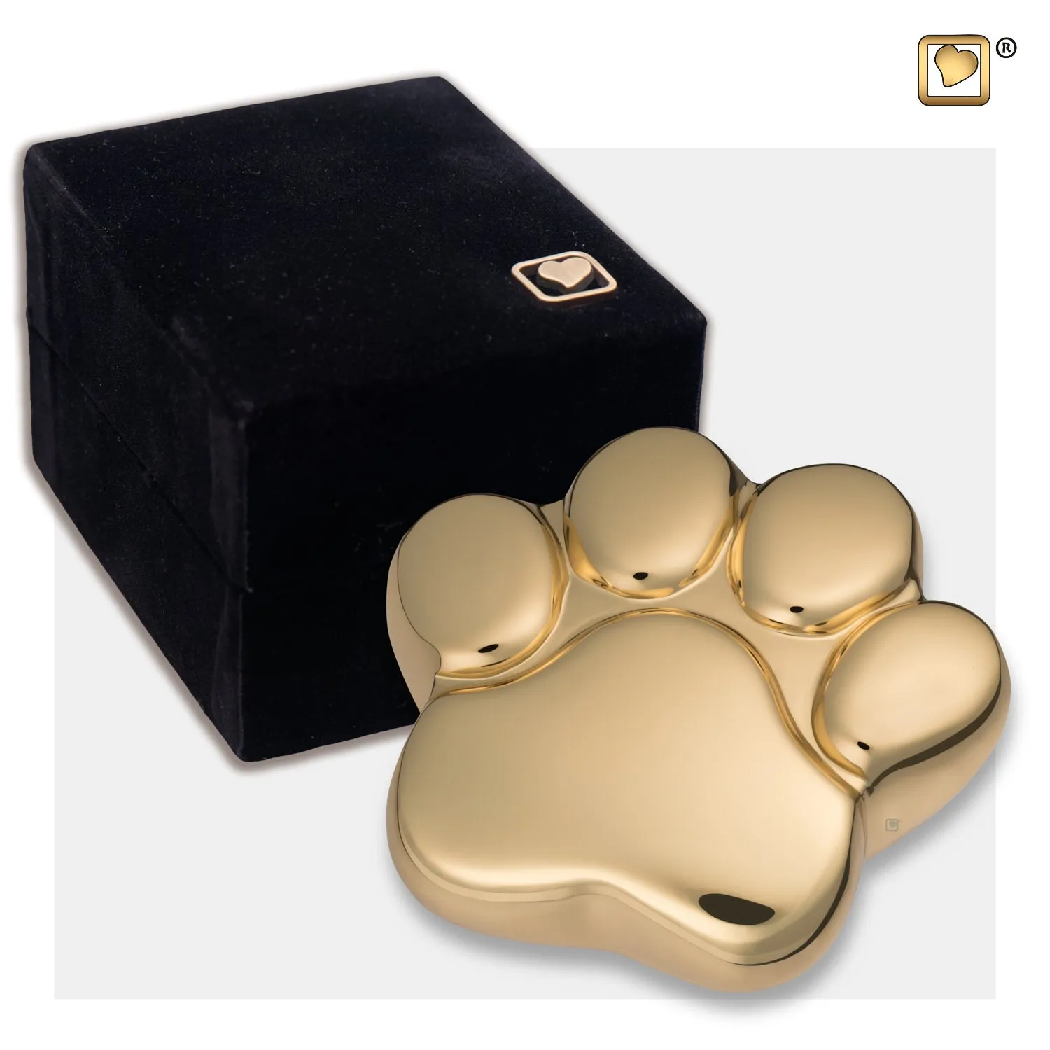 Bright Gold (Keepsake Paw) - P671K