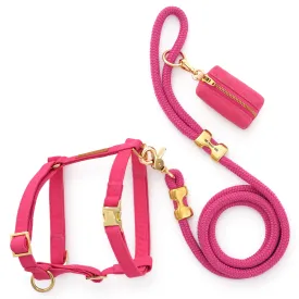 Hot Pink Harness Walk Set