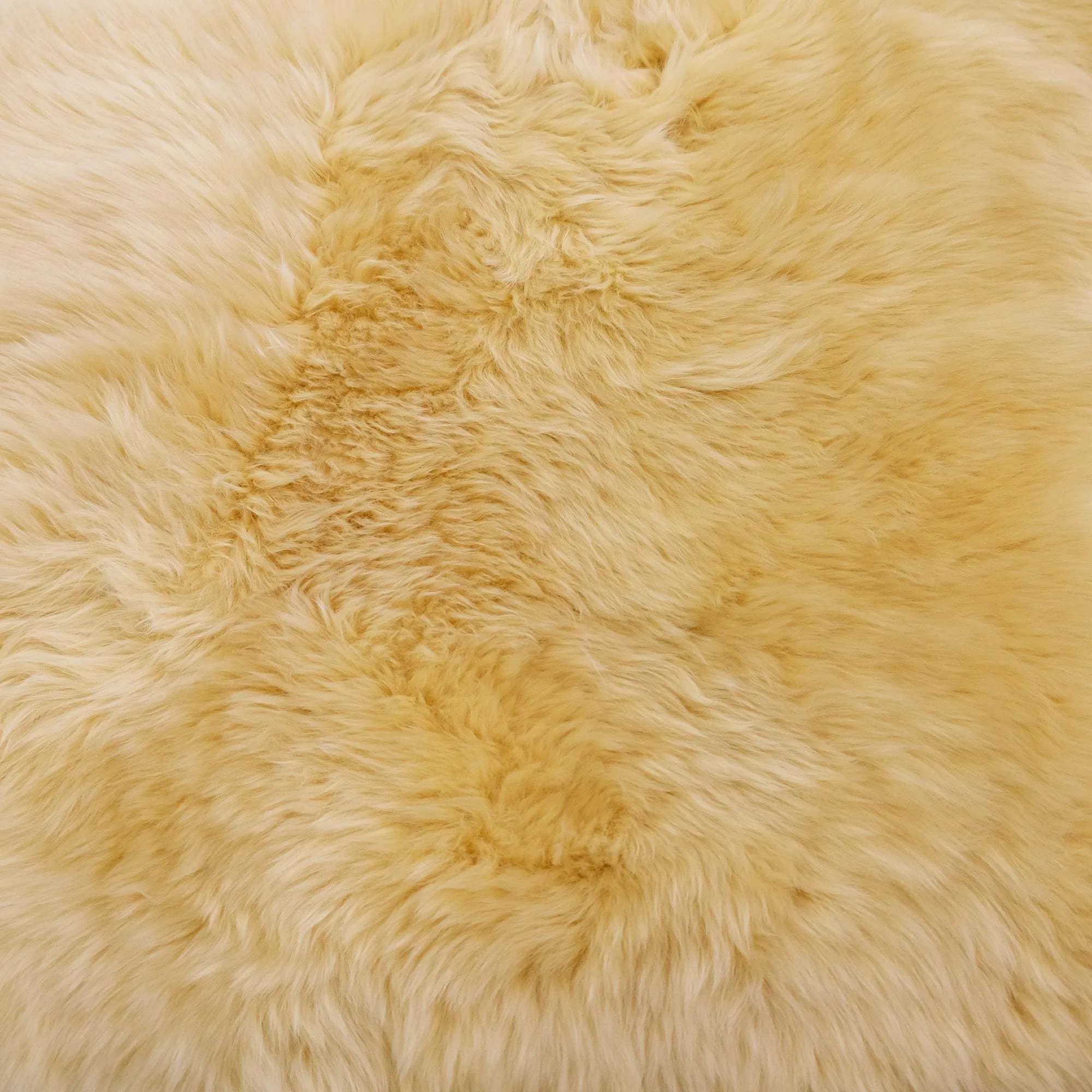 Sheepskin Rug - Vanilla - XXL - Long Wool Australian Merino Sheepskin